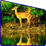 Best moments of wildlife Trip experience