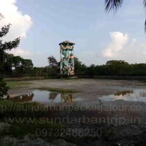 Sundarban Customised Tour